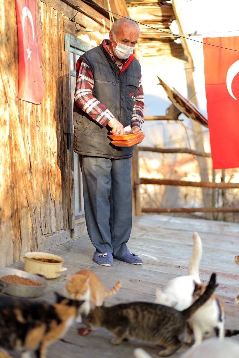 Havyan dostları için her gün 10 kilometre yürüyor 5