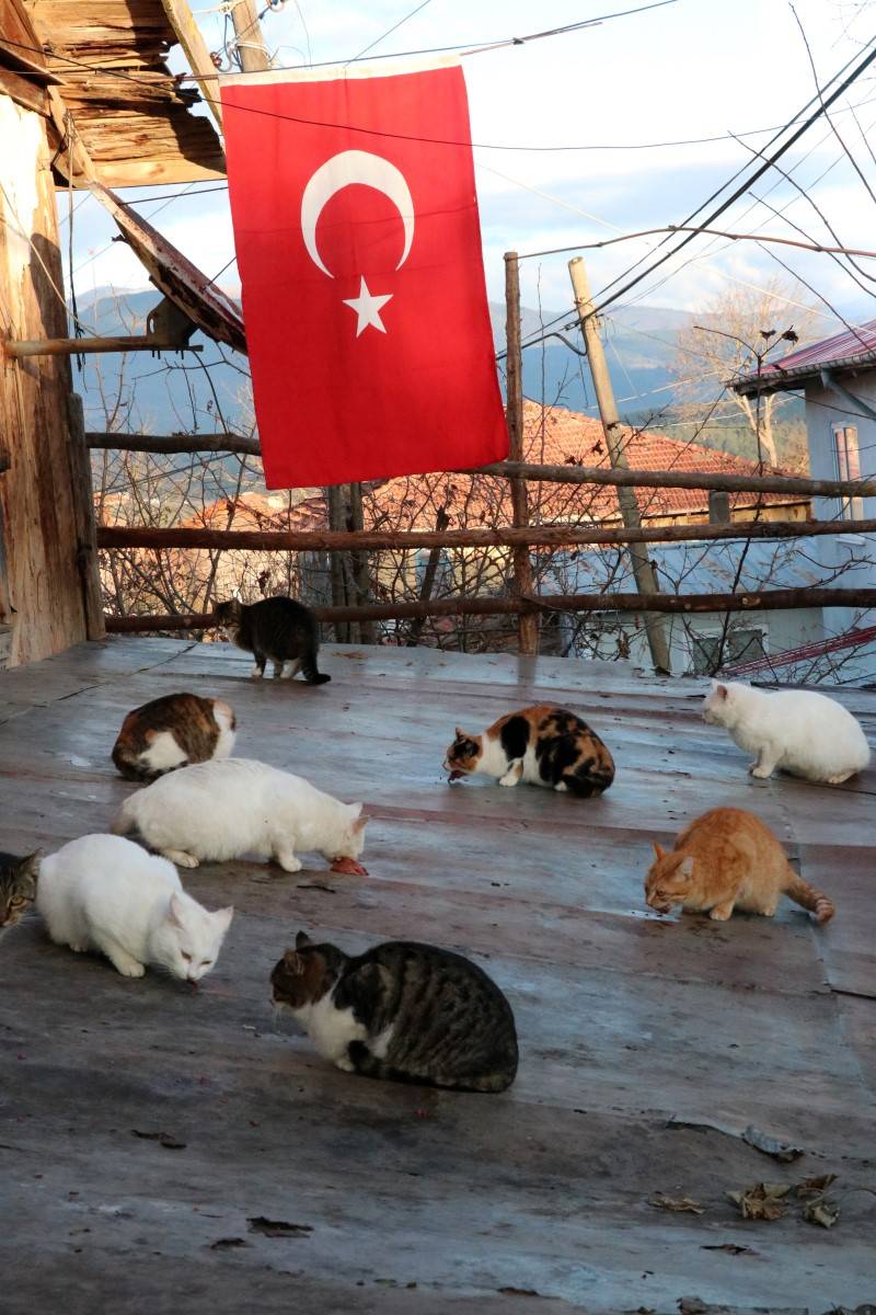 Havyan dostları için her gün 10 kilometre yürüyor 6