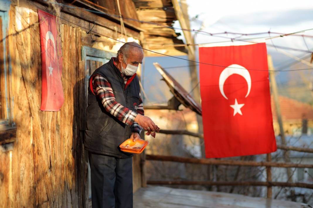 Havyan dostları için her gün 10 kilometre yürüyor 11