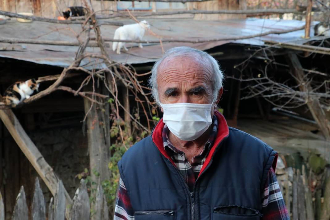 Havyan dostları için her gün 10 kilometre yürüyor 12