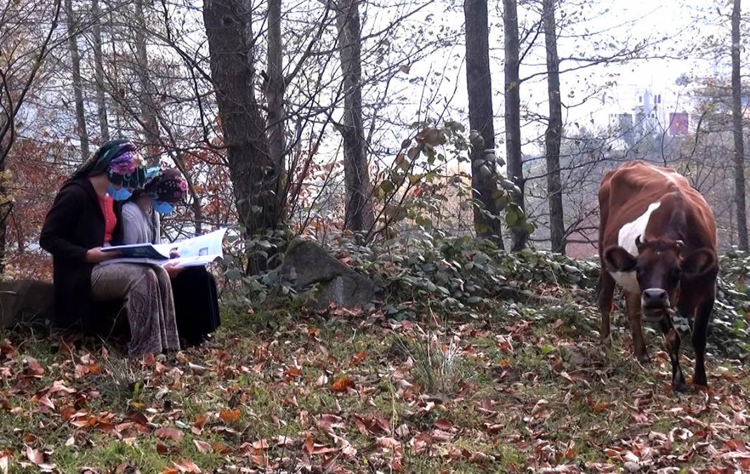 1 telefon 7 kardeş... Ne bilgisayarları var ne de tabletleri 10