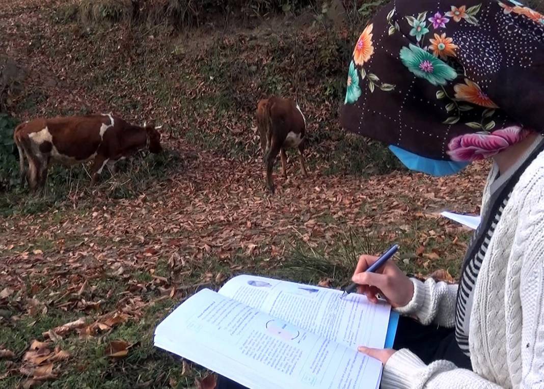 1 telefon 7 kardeş... Ne bilgisayarları var ne de tabletleri 8