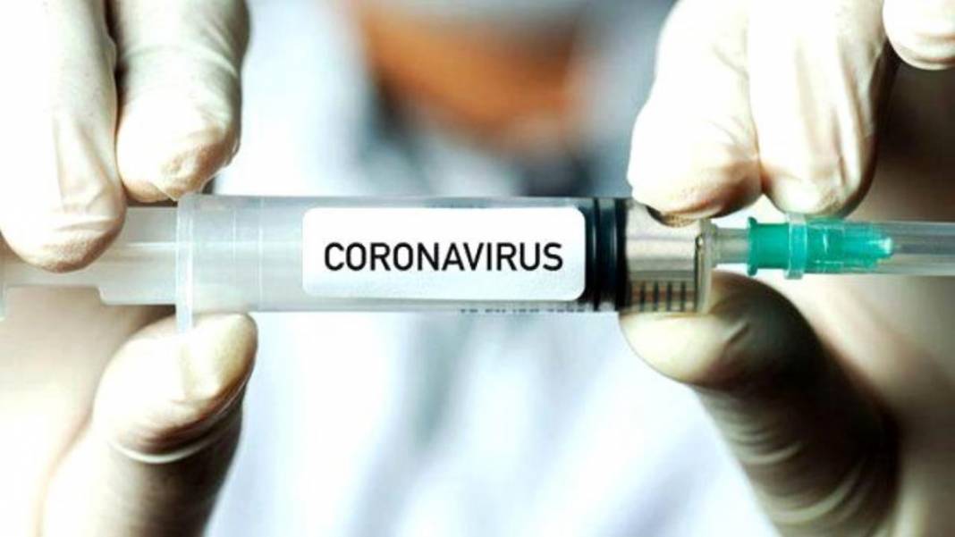 Aşılar salgını durdurabilecek mi? 6