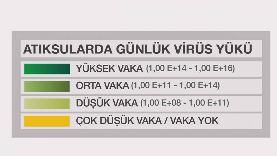 Virüsteki mutasyon atık suda ortaya çıktı! İşte Türkiye'nin korona haritası 11