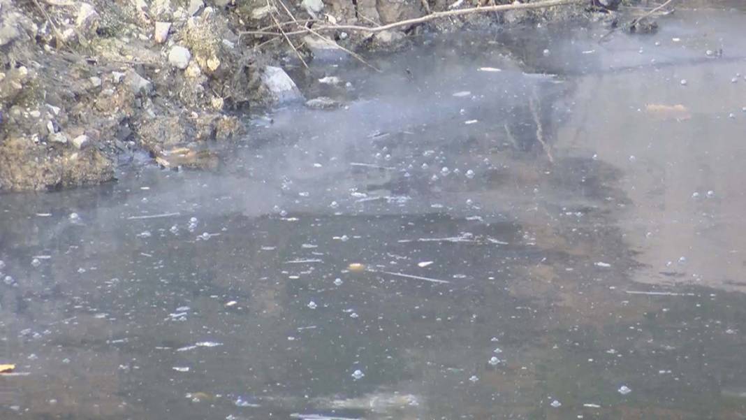 Virüsteki mutasyon atık suda ortaya çıktı! İşte Türkiye'nin korona haritası 5