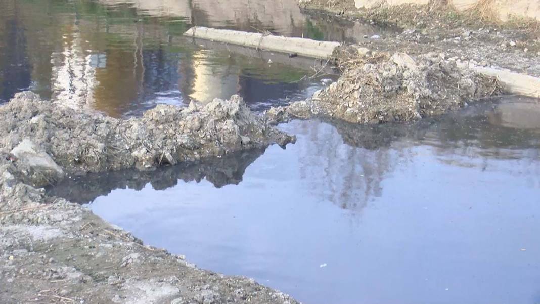 Virüsteki mutasyon atık suda ortaya çıktı! İşte Türkiye'nin korona haritası 6