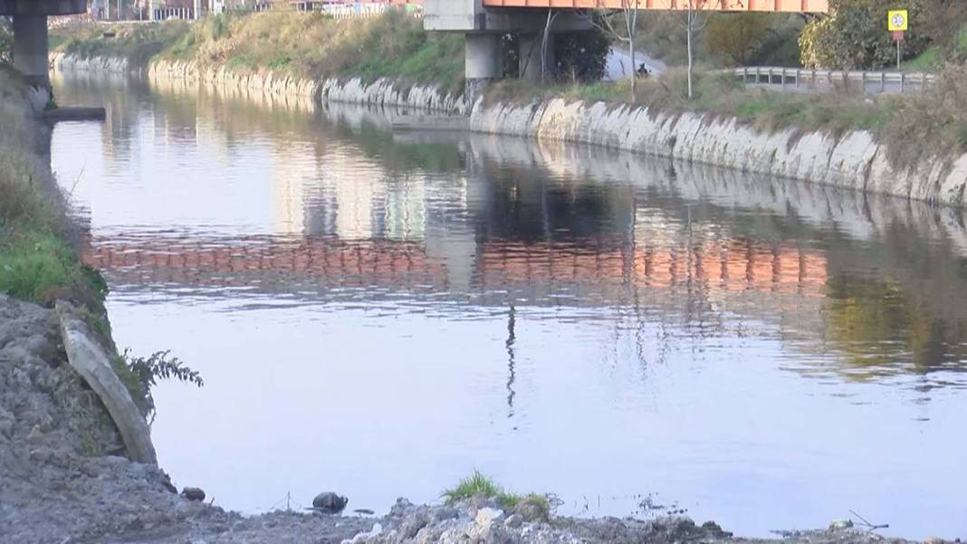 Virüsteki mutasyon atık suda ortaya çıktı! İşte Türkiye'nin korona haritası 7