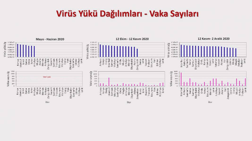 Virüsteki mutasyon atık suda ortaya çıktı! İşte Türkiye'nin korona haritası 8