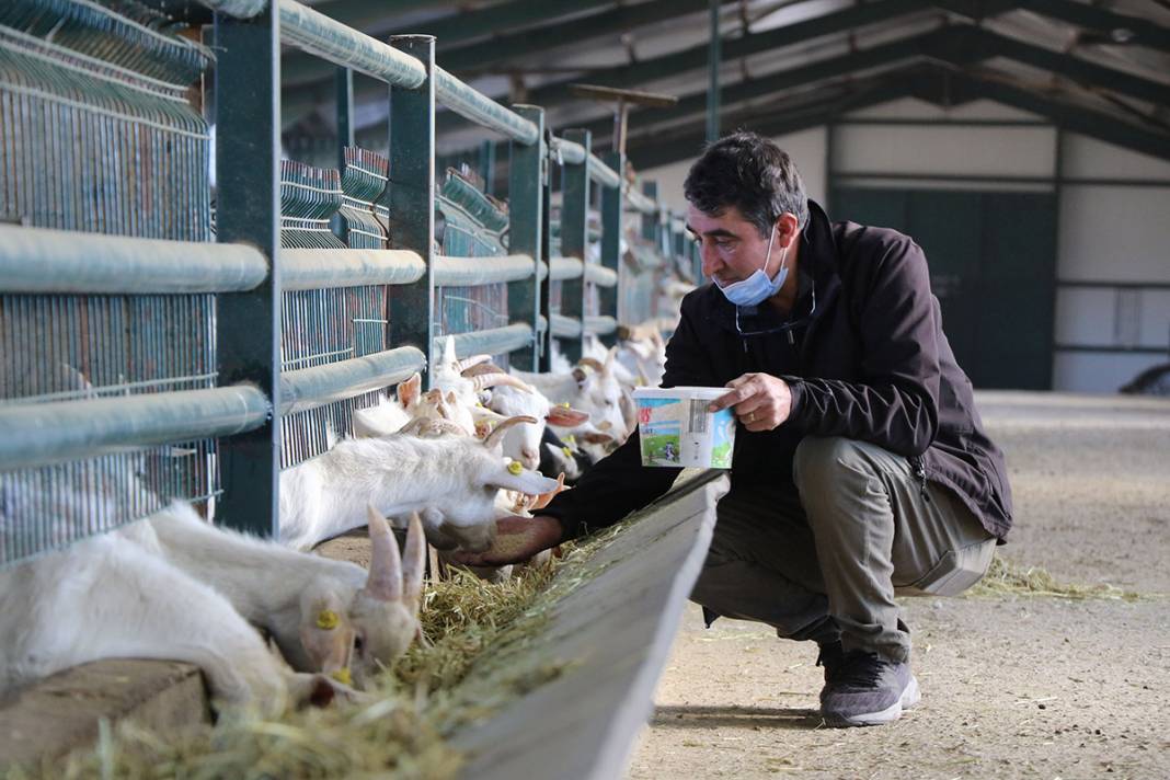 Türk bilim insanları koronaya karşı etkili dedi, talep patladı! 6