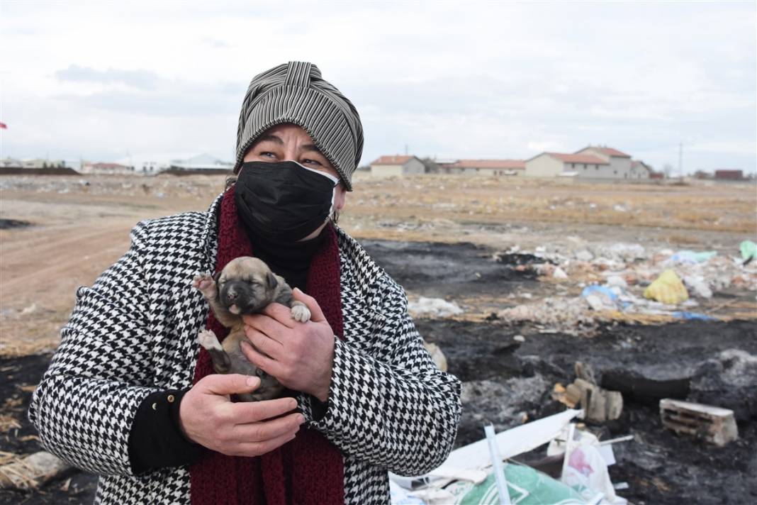 Konya'da vahşet! 9 yavru köpeği yakarak öldürdüler 9