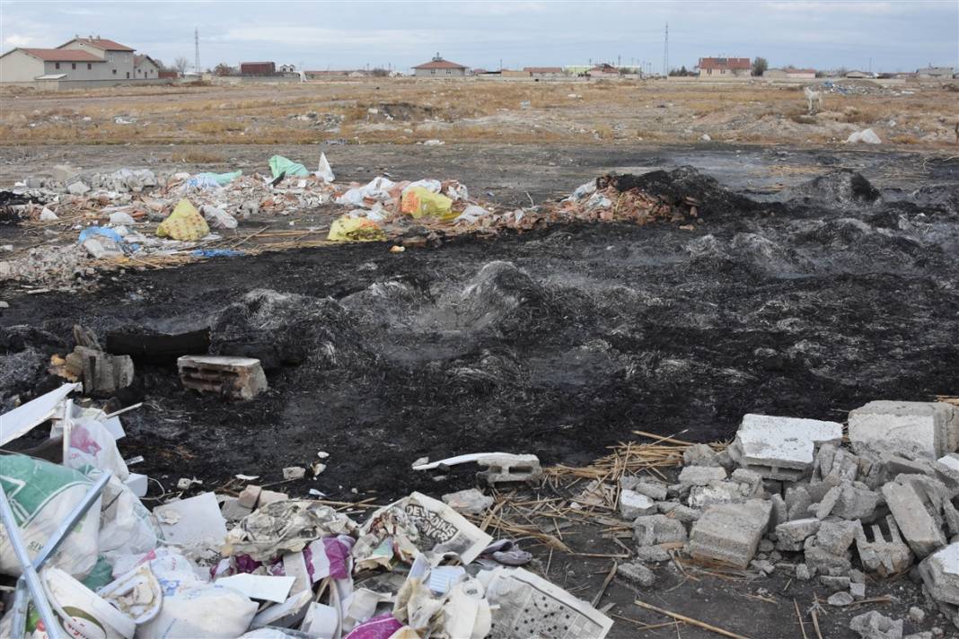 Konya'da vahşet! 9 yavru köpeği yakarak öldürdüler 10