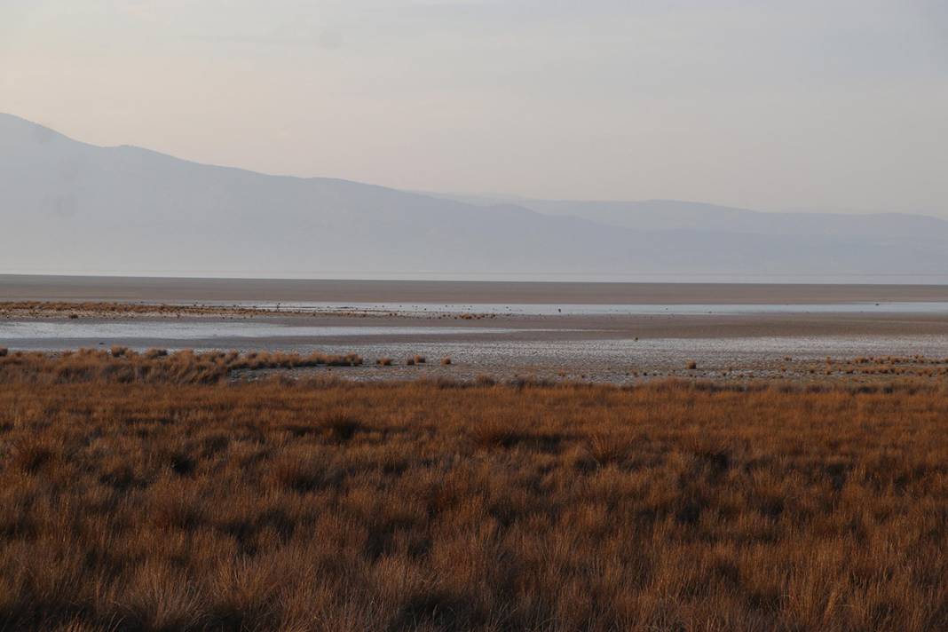 Kuş cenneti Acıgöl kuraklığın pençesinde 6