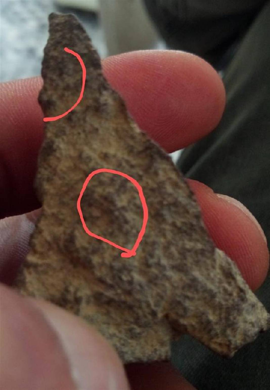 İçinde üç boyutlu gizli resimler bulunan taşların sırrı ne? 20