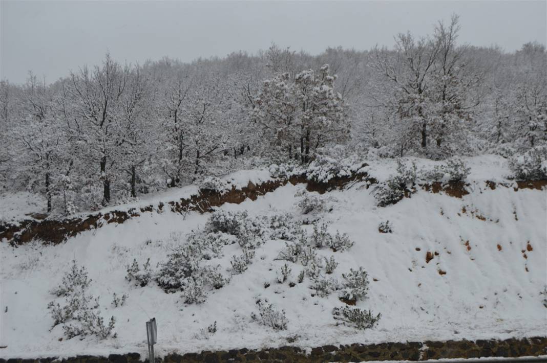 Lodos bitti, kar başladı... İşte kar yağışı olan iller 23