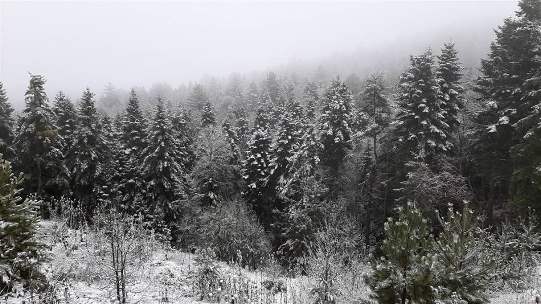 Lodos bitti, kar başladı... İşte kar yağışı olan iller 30