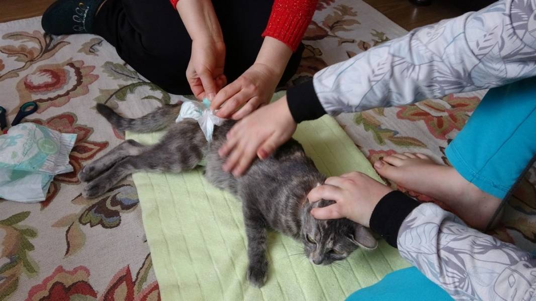 Bin 400 yıllık tarihi kale turizme açılıyor 10