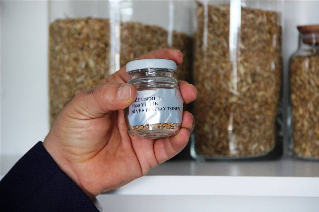 Altından bile daha değerli! Özel küpte bulundu, tam 7 bin yıllık 1