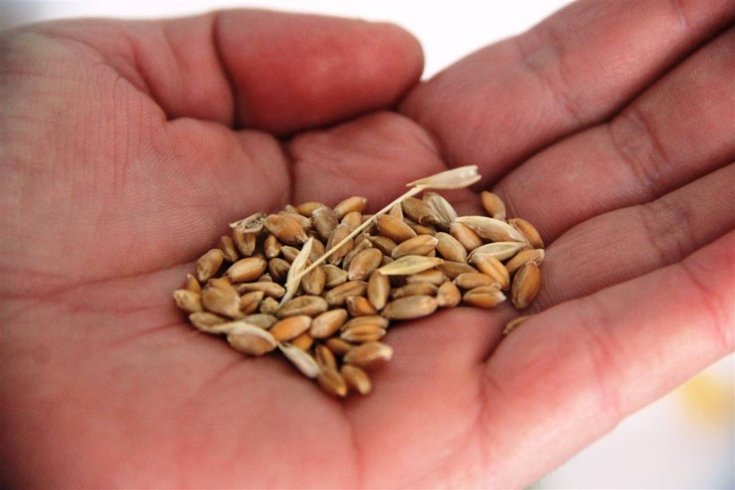 Altından bile daha değerli! Özel küpte bulundu, tam 7 bin yıllık 4