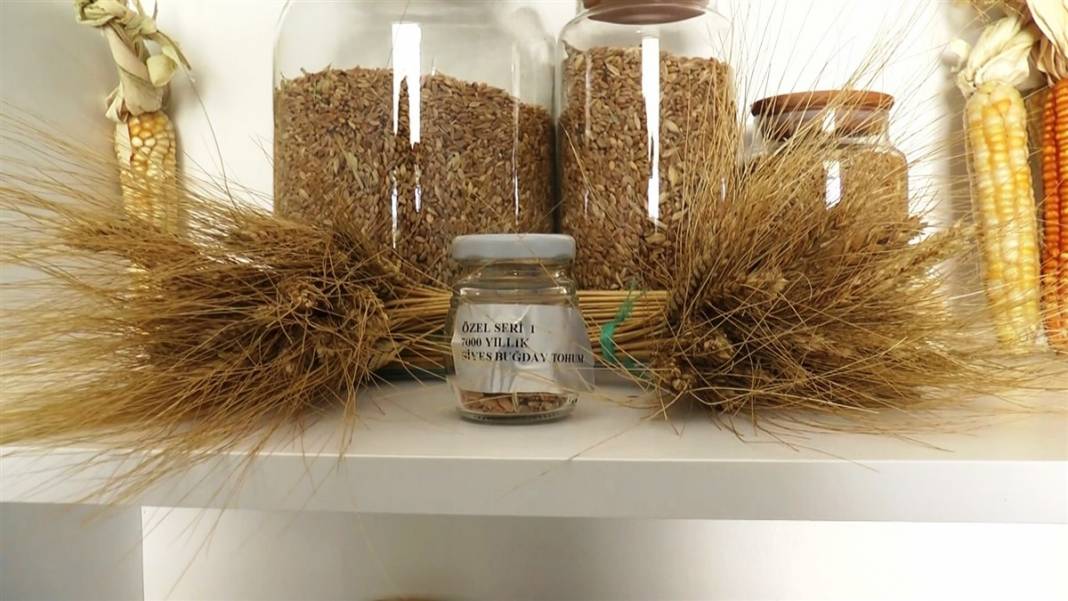 Altından bile daha değerli! Özel küpte bulundu, tam 7 bin yıllık 5