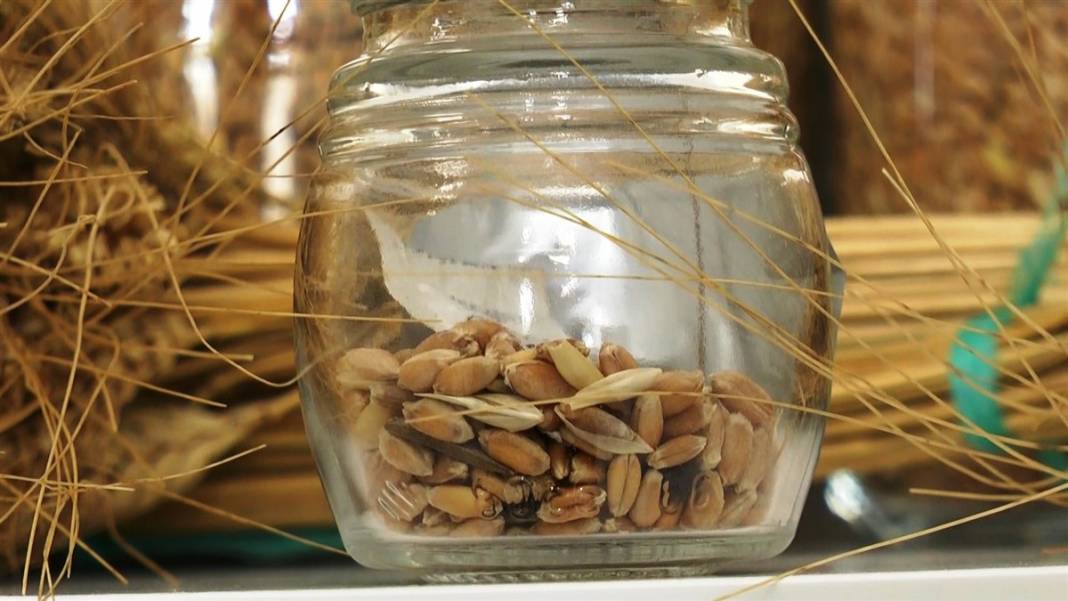 Altından bile daha değerli! Özel küpte bulundu, tam 7 bin yıllık 6