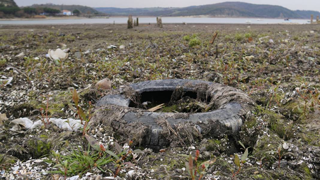 İstanbul'un su kaynakları alarm veriyor: Terkos Gölü 100 metre çekildi 7