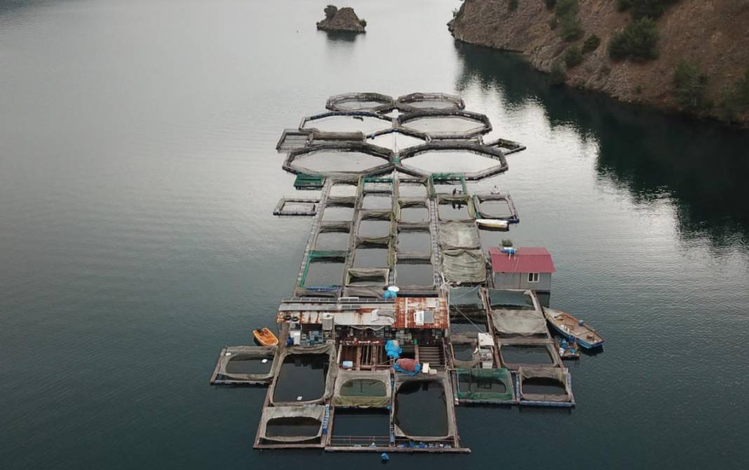 Denizi olmayan şehirden 54 ülkeye balık ihracatı yapılıyor 1