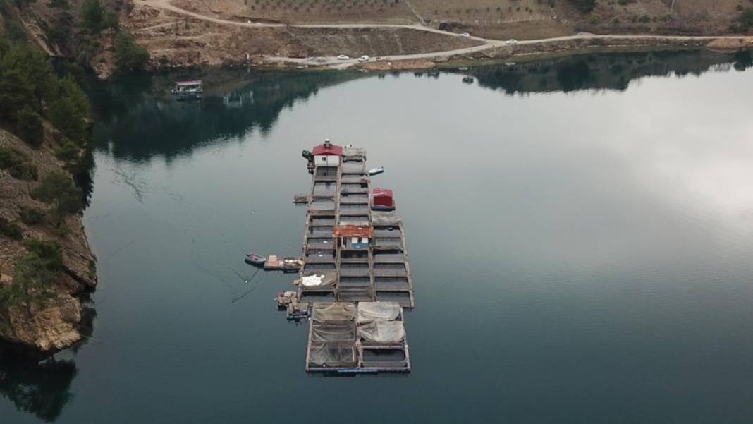 Denizi olmayan şehirden 54 ülkeye balık ihracatı yapılıyor 2