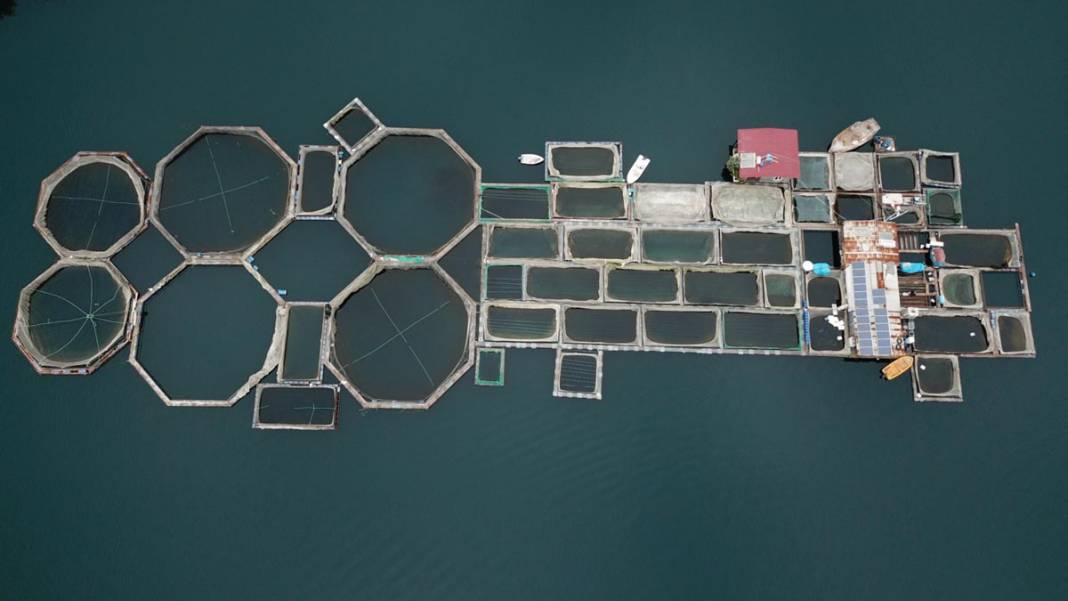 Denizi olmayan şehirden 54 ülkeye balık ihracatı yapılıyor 10