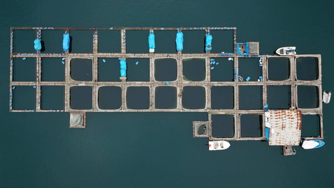 Denizi olmayan şehirden 54 ülkeye balık ihracatı yapılıyor 11