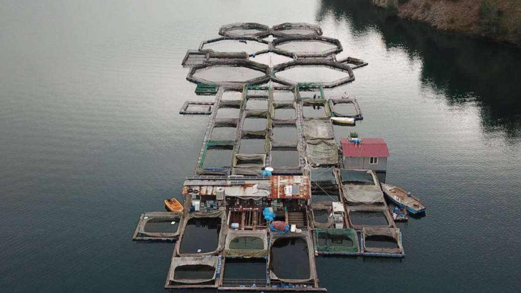 Denizi olmayan şehirden 54 ülkeye balık ihracatı yapılıyor 12