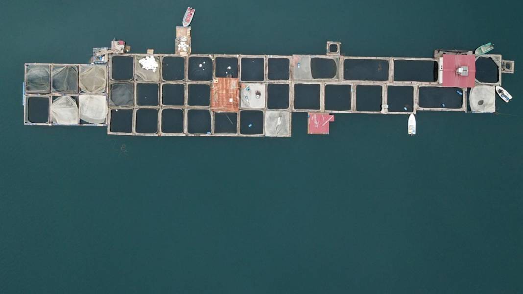 Denizi olmayan şehirden 54 ülkeye balık ihracatı yapılıyor 13