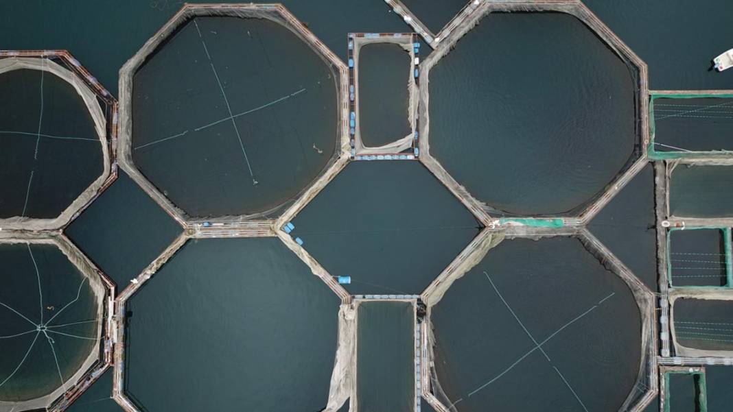 Denizi olmayan şehirden 54 ülkeye balık ihracatı yapılıyor 4