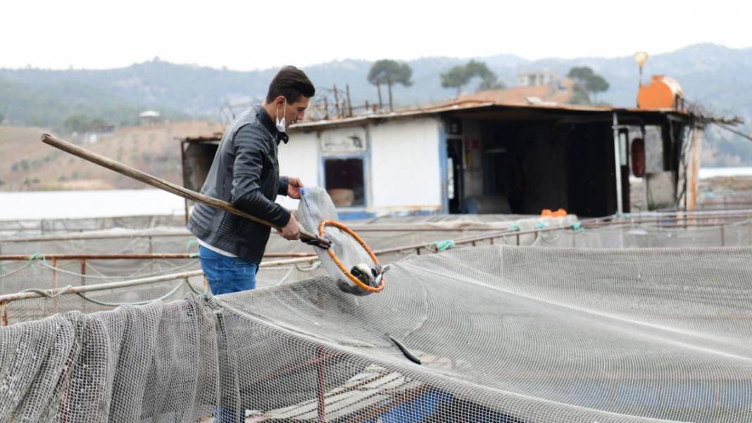 Denizi olmayan şehirden 54 ülkeye balık ihracatı yapılıyor 6