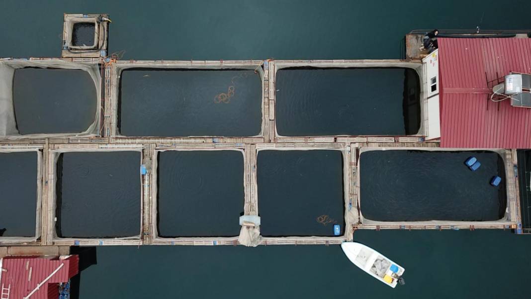 Denizi olmayan şehirden 54 ülkeye balık ihracatı yapılıyor 7