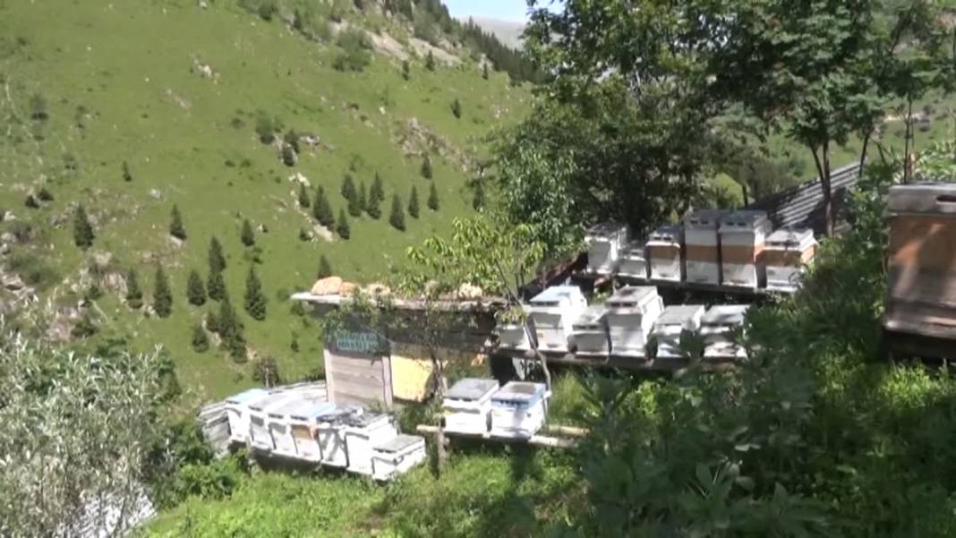 Bir çay kaşığı bile tehlikeli! Yiyen hastanelik oluyor 12