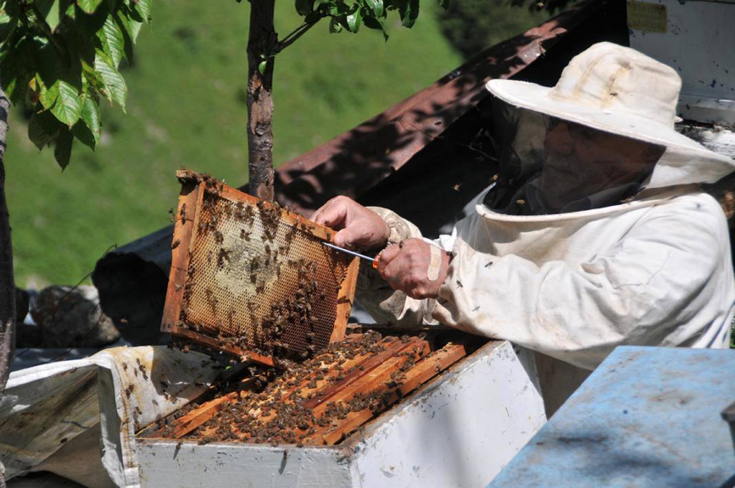 Bir çay kaşığı bile tehlikeli! Yiyen hastanelik oluyor 13