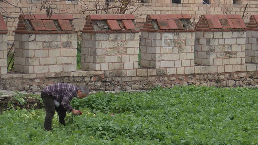 1600 yıllık tarih her geçen gün eriyor! İstanbul surlarında korkutan görüntü 12