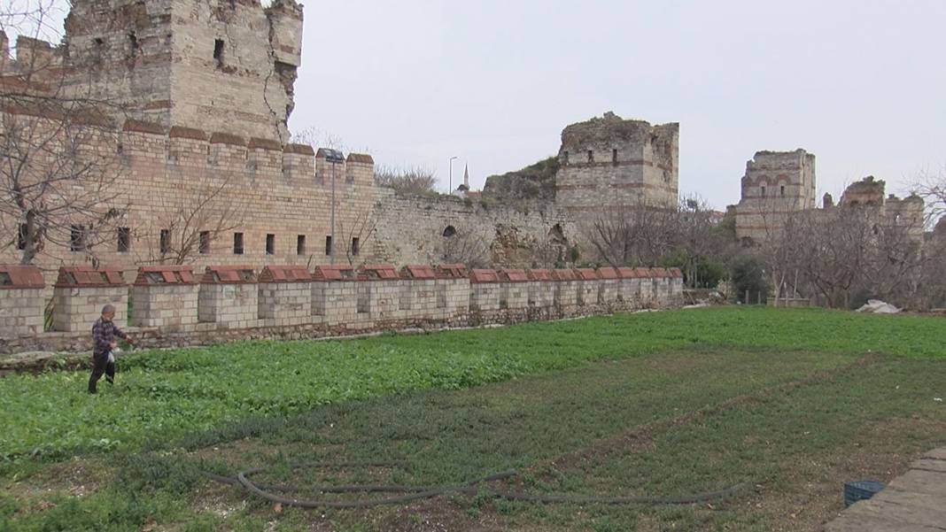 1600 yıllık tarih her geçen gün eriyor! İstanbul surlarında korkutan görüntü 14