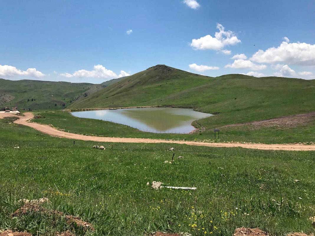 O ilimizde bulundu! Dinozorların yaşadığı döneme ait 1