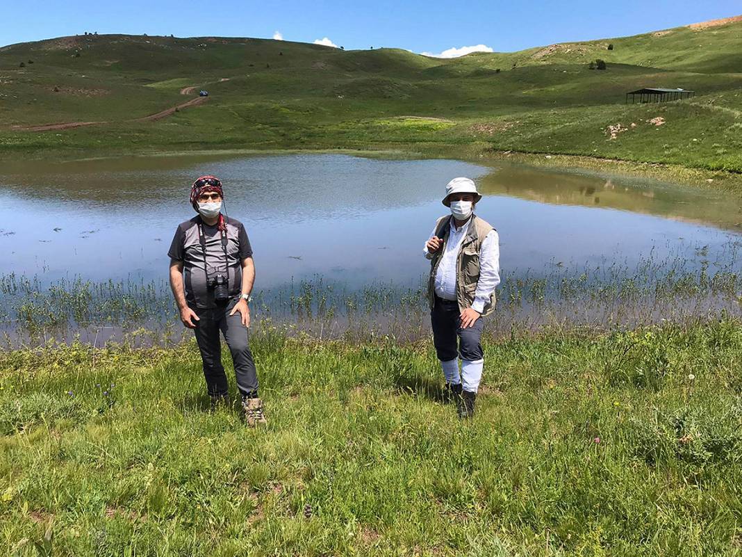 O ilimizde bulundu! Dinozorların yaşadığı döneme ait 11