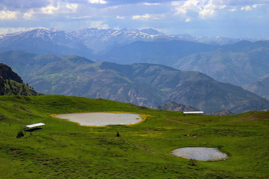 O ilimizde bulundu! Dinozorların yaşadığı döneme ait 14