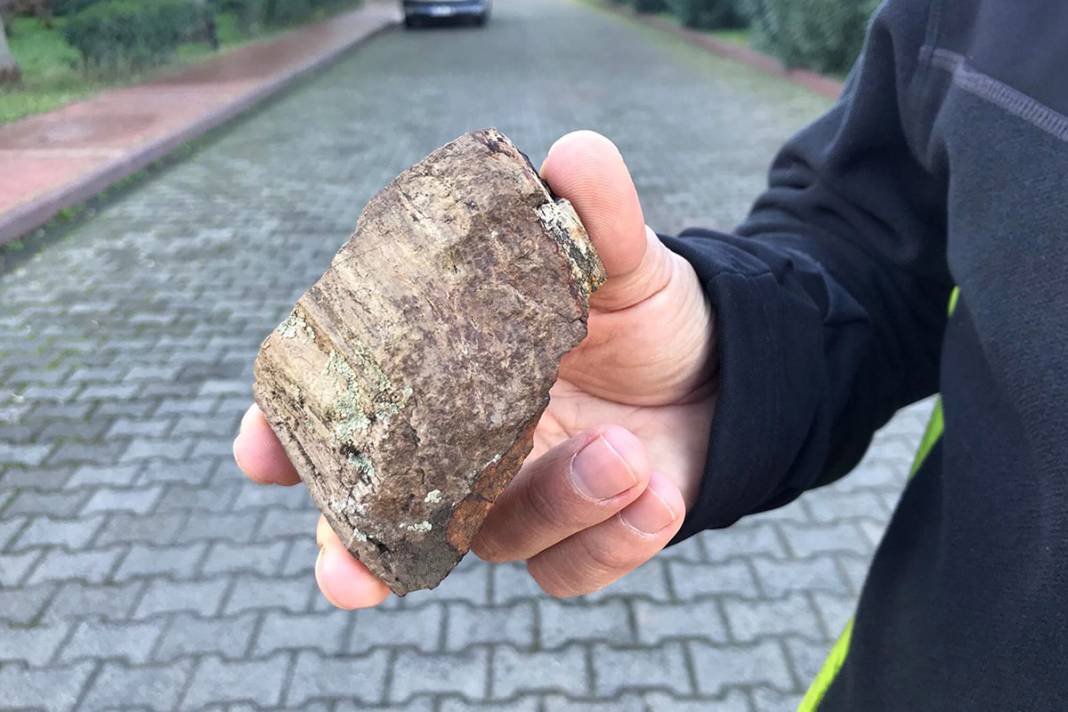 O ilimizde bulundu! Dinozorların yaşadığı döneme ait 15