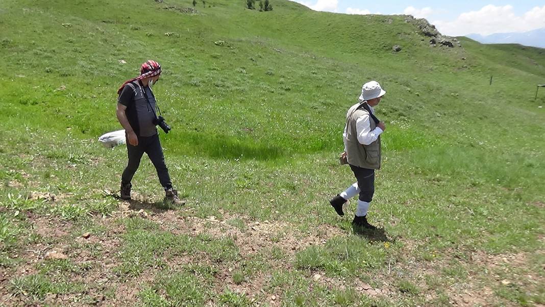 O ilimizde bulundu! Dinozorların yaşadığı döneme ait 6