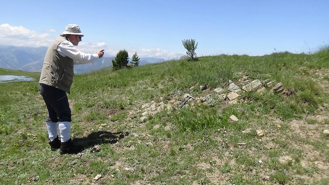 O ilimizde bulundu! Dinozorların yaşadığı döneme ait 8