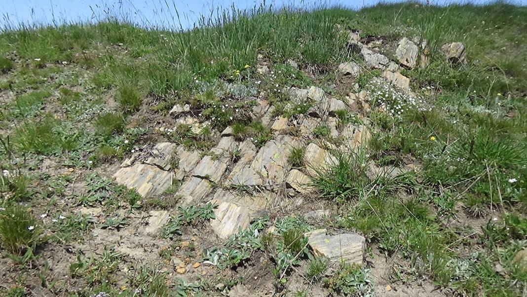 O ilimizde bulundu! Dinozorların yaşadığı döneme ait 9