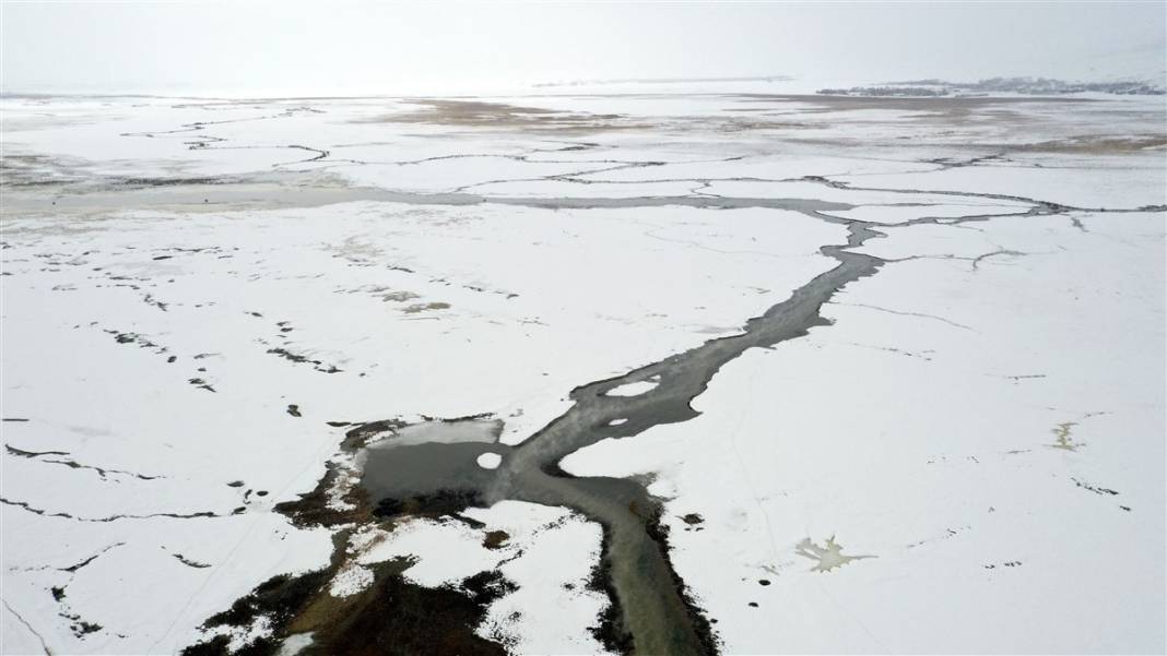 -20 derecede kaplıca sefası! Bin manda stres atıyor 32
