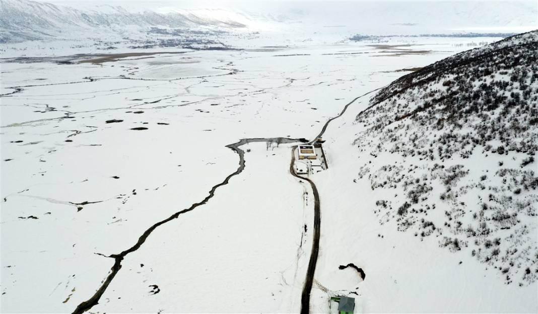-20 derecede kaplıca sefası! Bin manda stres atıyor 33
