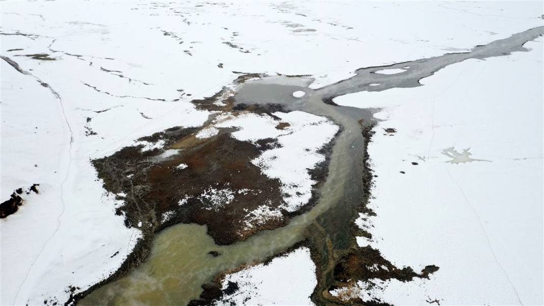 -20 derecede kaplıca sefası! Bin manda stres atıyor 34