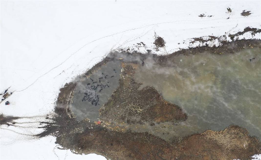 -20 derecede kaplıca sefası! Bin manda stres atıyor 35