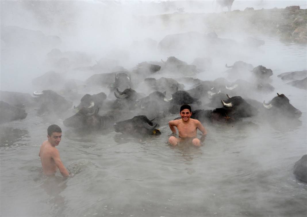 -20 derecede kaplıca sefası! Bin manda stres atıyor 16